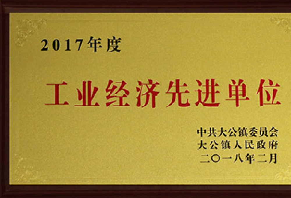 2017工業(yè)經(jīng)濟先進單位