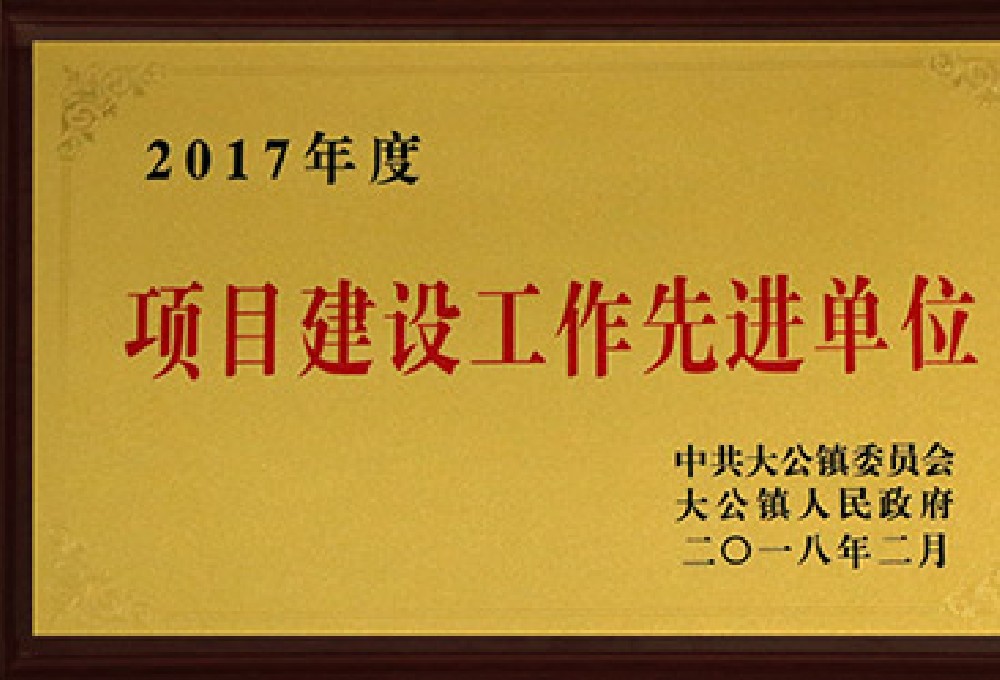 2017項目建設(shè)先進單位